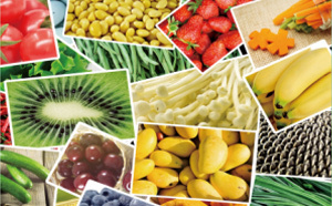 珠海軟件開發與廣告設計外包 融合創新，驅動企業數字化轉型